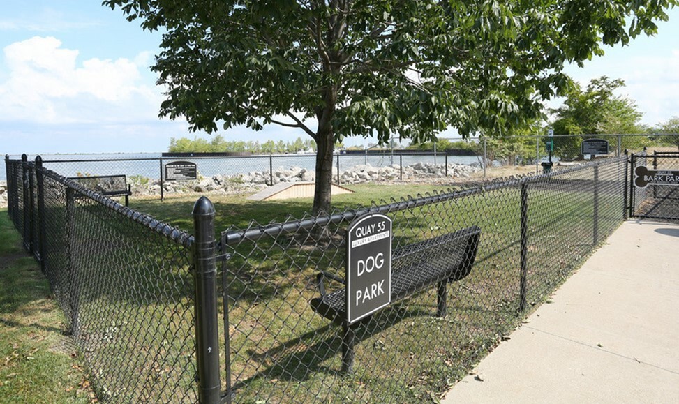 The Shoreline Apartments Image 29