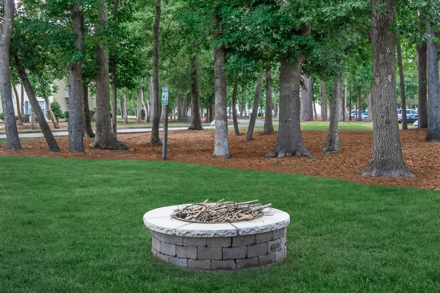 Tesla Park Image 48