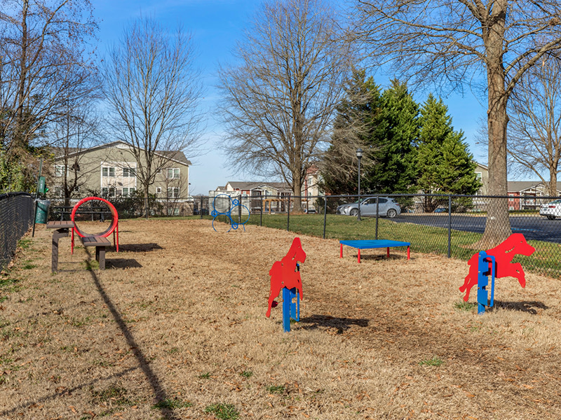Piedmont at Ivy Meadows Image 11