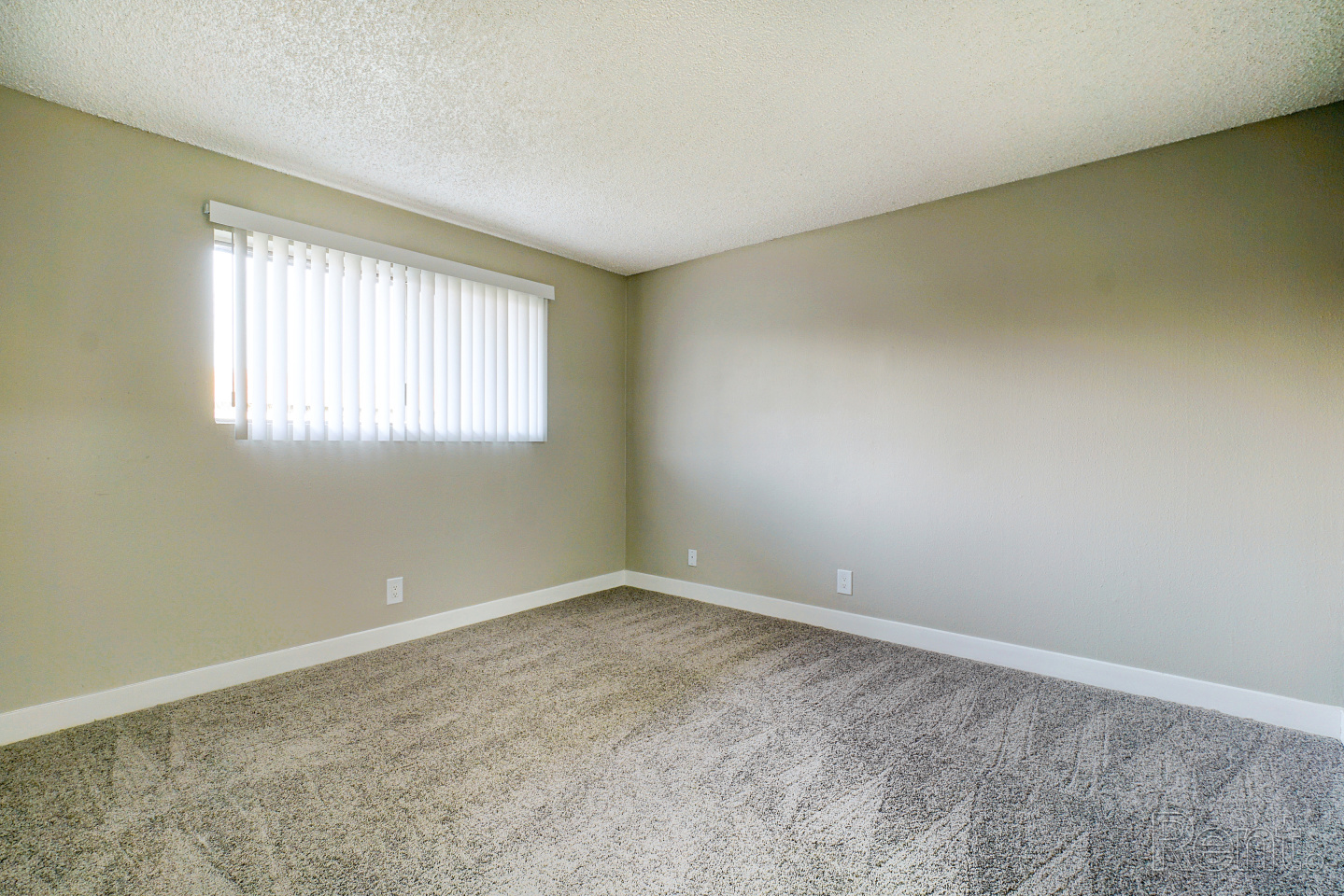 Regency Palms Image 15