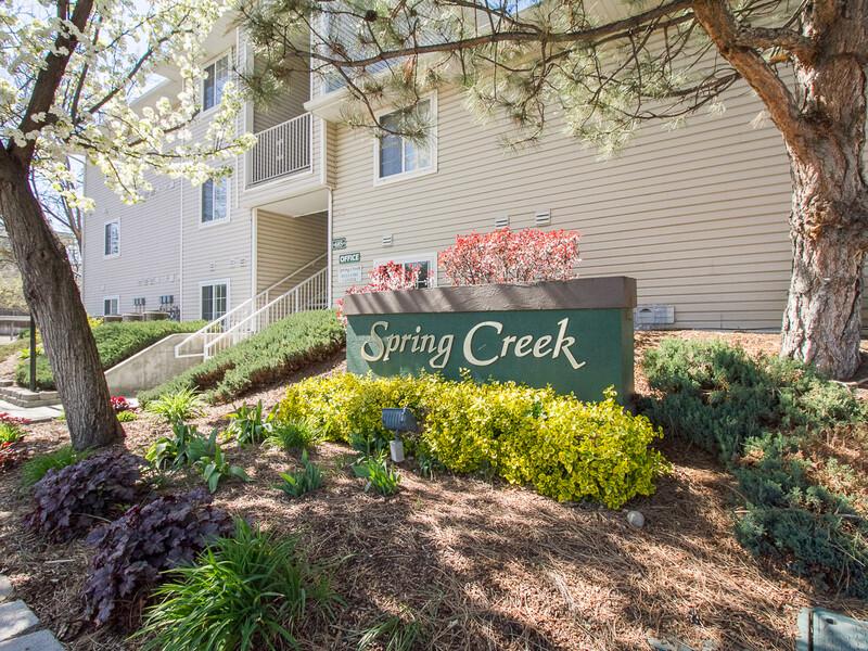 Spring Creek Apartments Image 13