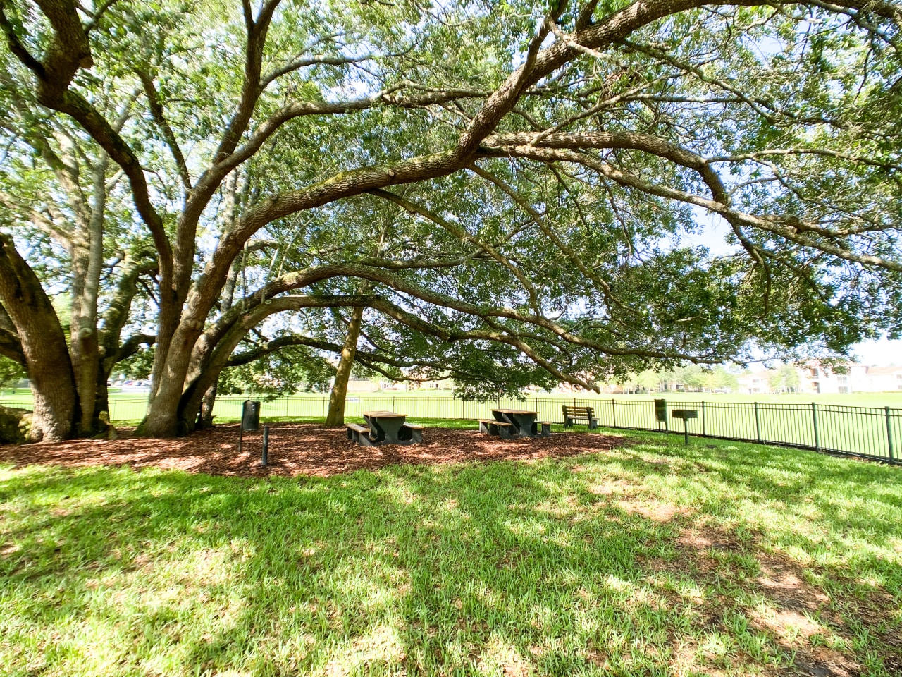 Oakleaf Village Image 1