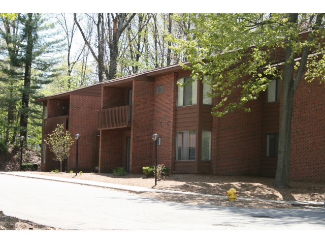 Deer View Image 83