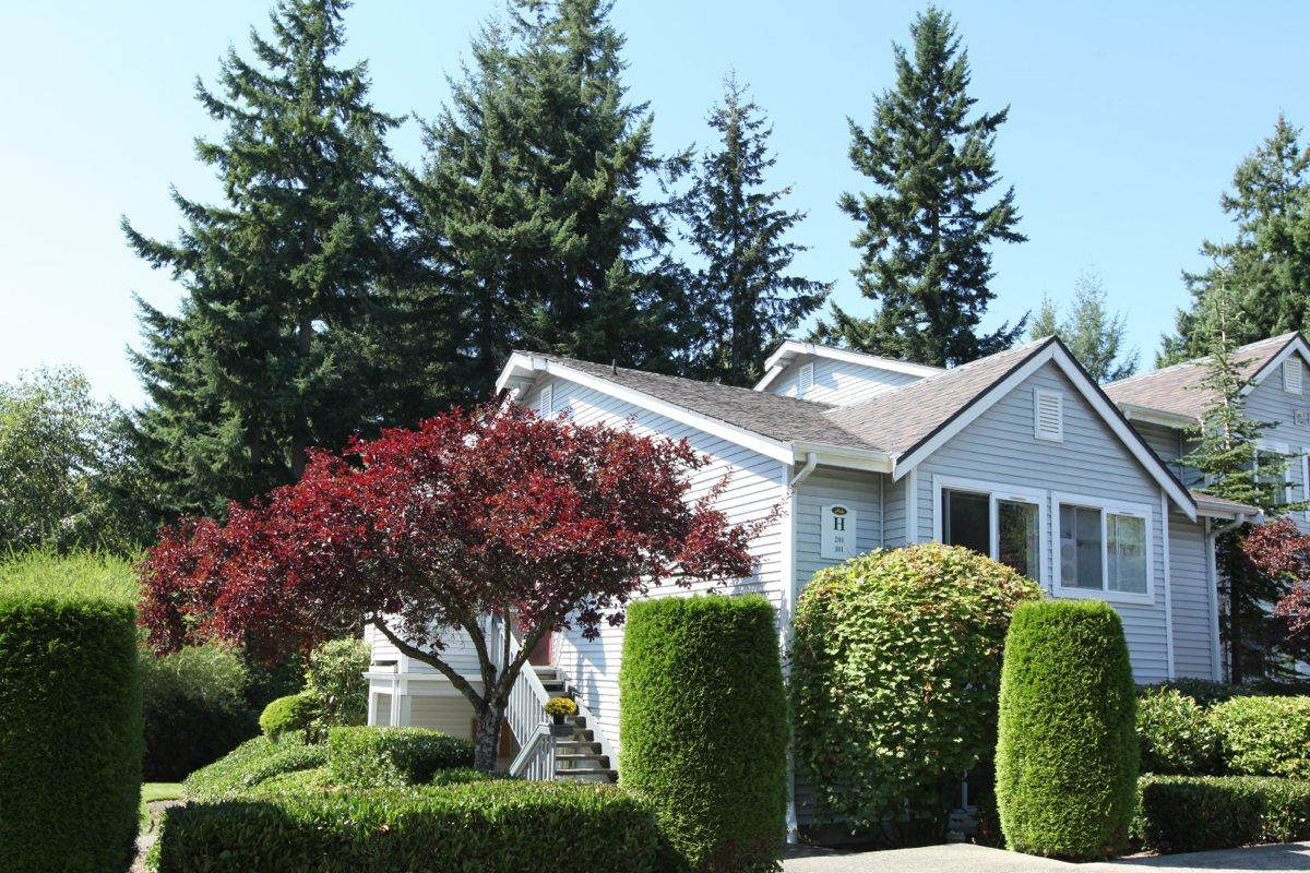 Forest Grove Image 22
