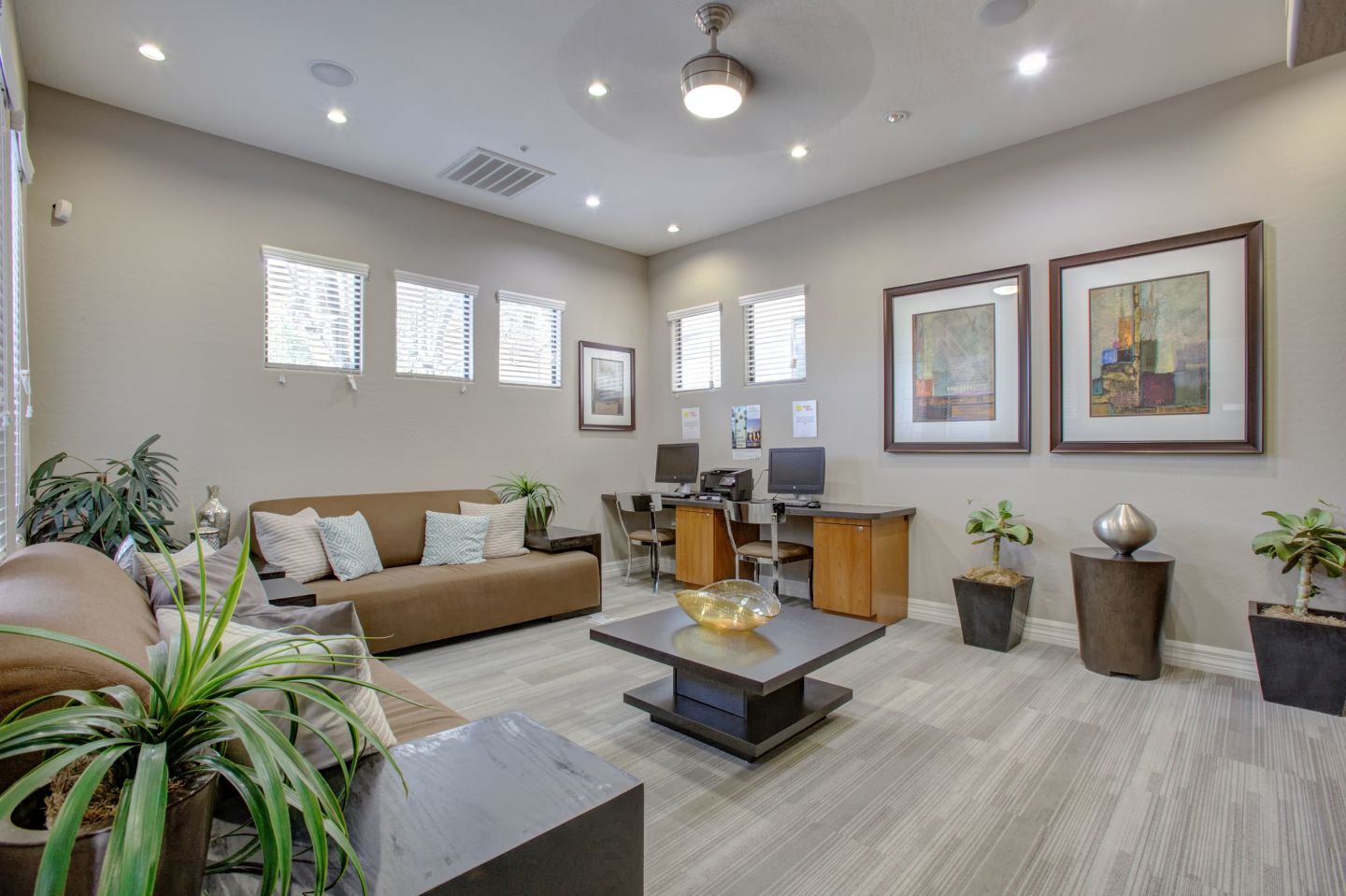 Monte Viejo Image 22