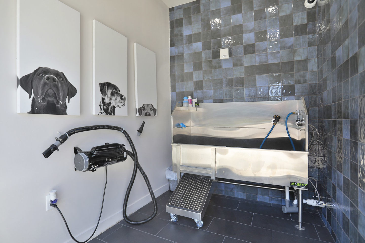 Altair Apartments Image 31