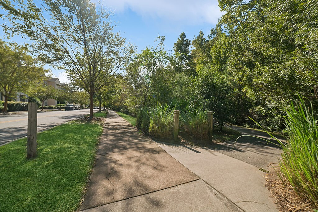 The Apartments at Shade Tree Image 13