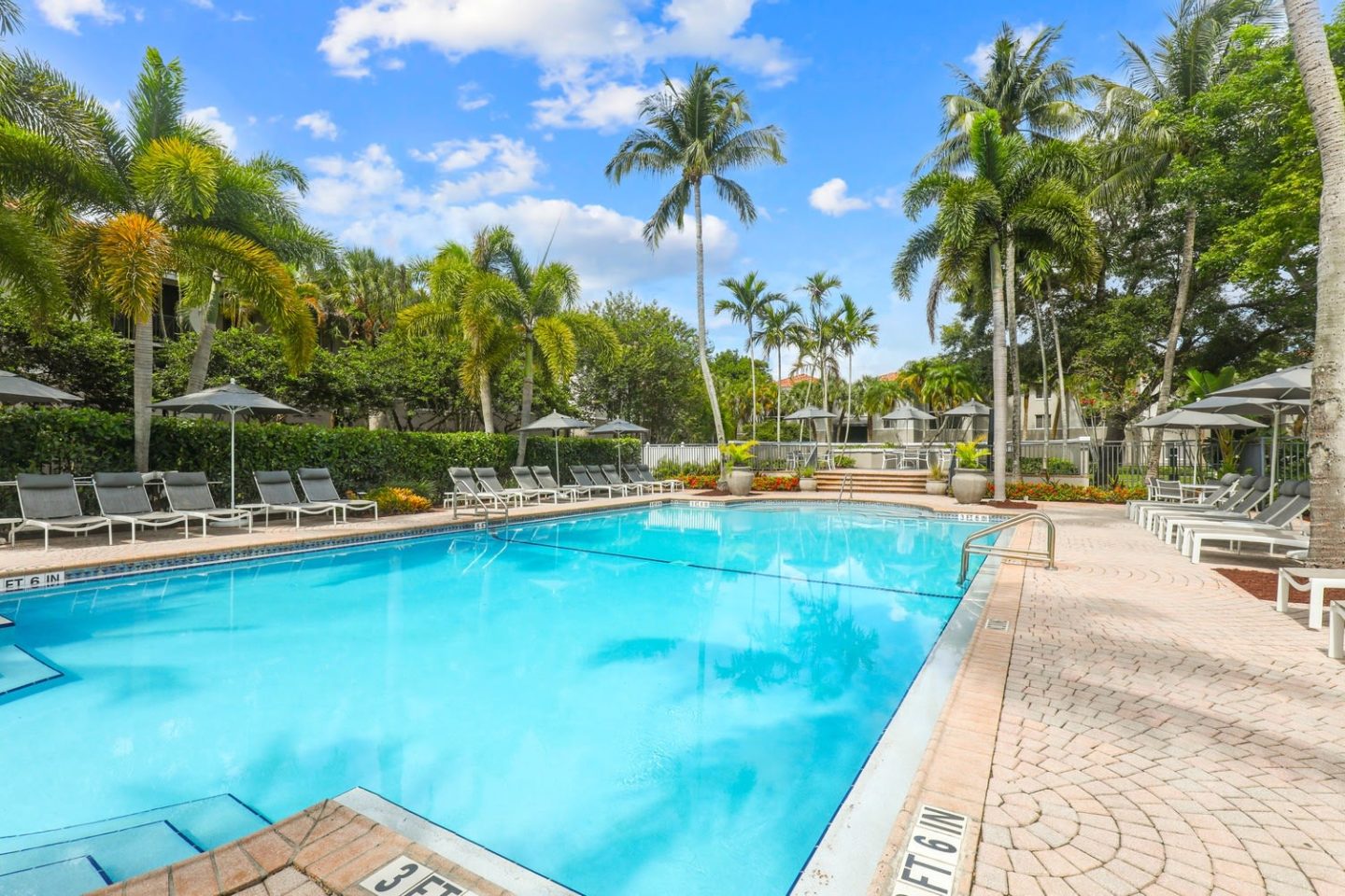 Coconut Palm Club Image 5
