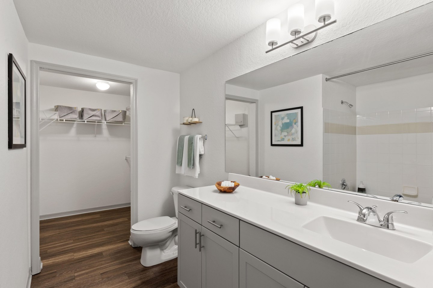 Solace Timucuan Image 19