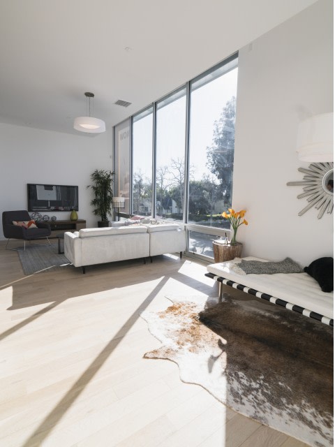 The Geffen Image 9