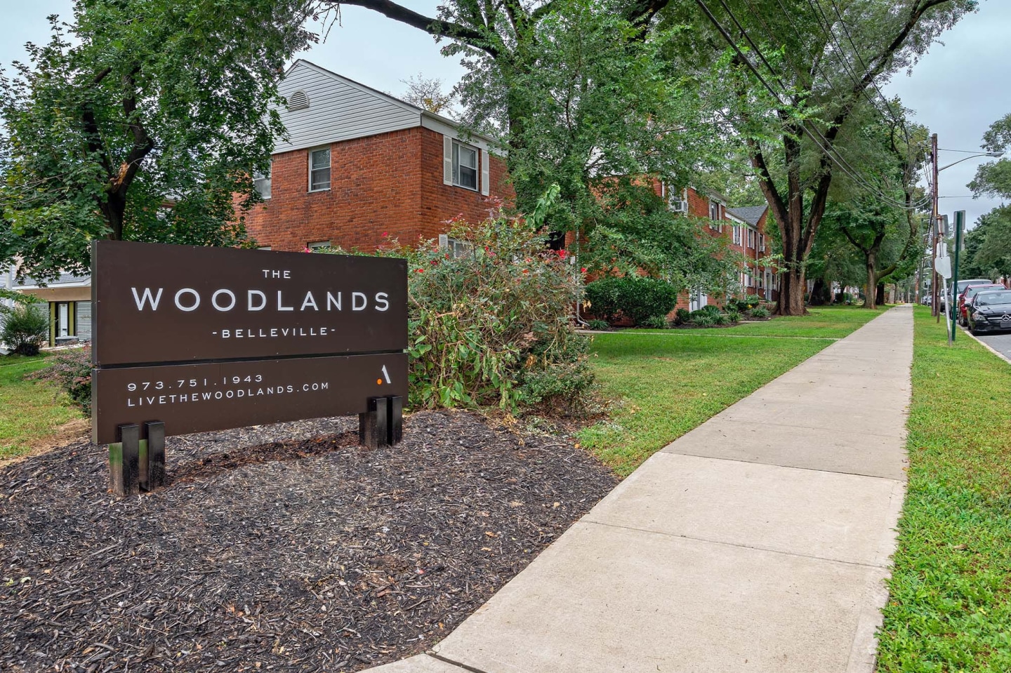The Woodlands Image 15