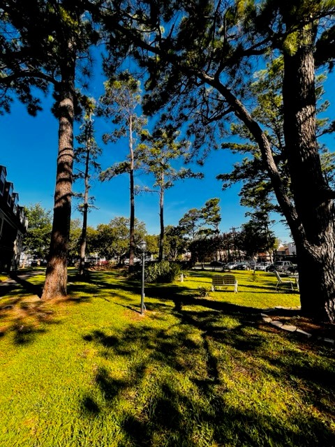 Treemont Senior Living Image 13