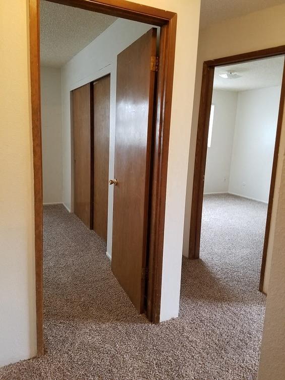 Rochelle Apartments Image 16