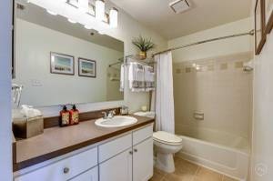 The Apartments at Pike Creek Image 16