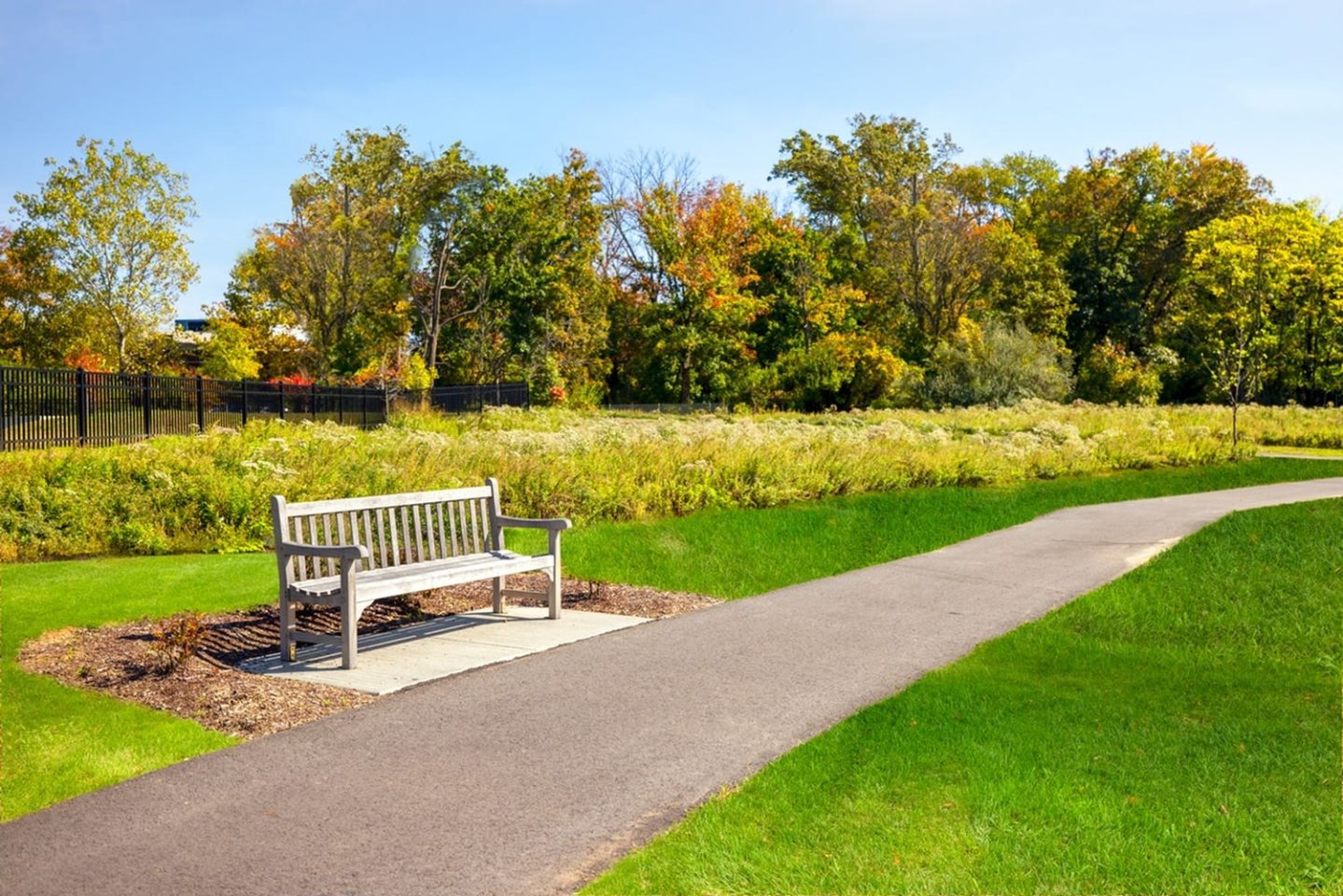 Icon Riverwalk 55+ Active Adult Apartment Homes Image 13