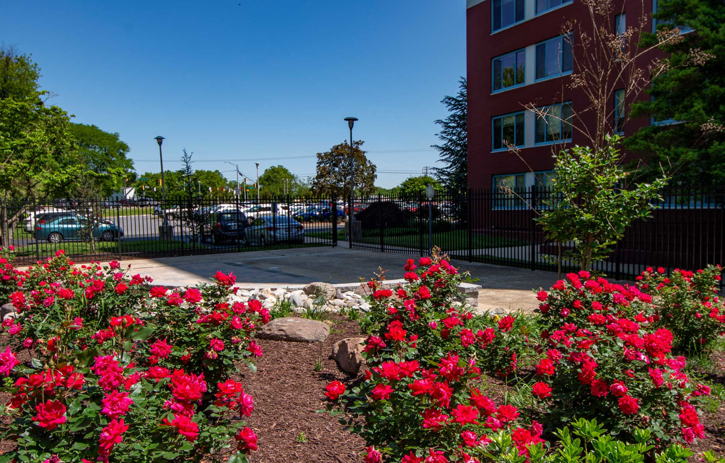 Steward Tower Apartments Image 17
