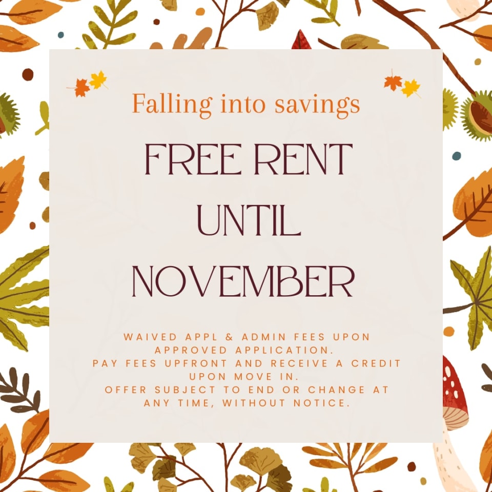Vivo Living Ivy Creek Image 28