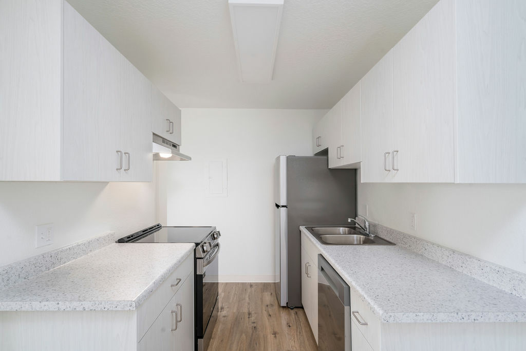 White Pine Image 10