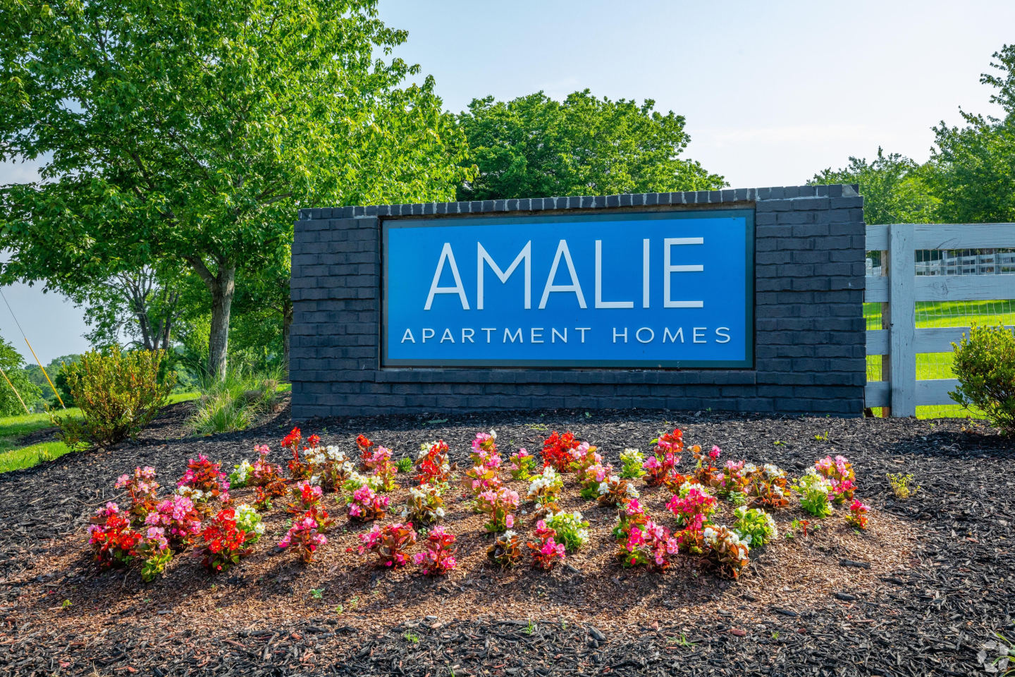 Amalie Apartment Homes Image 39