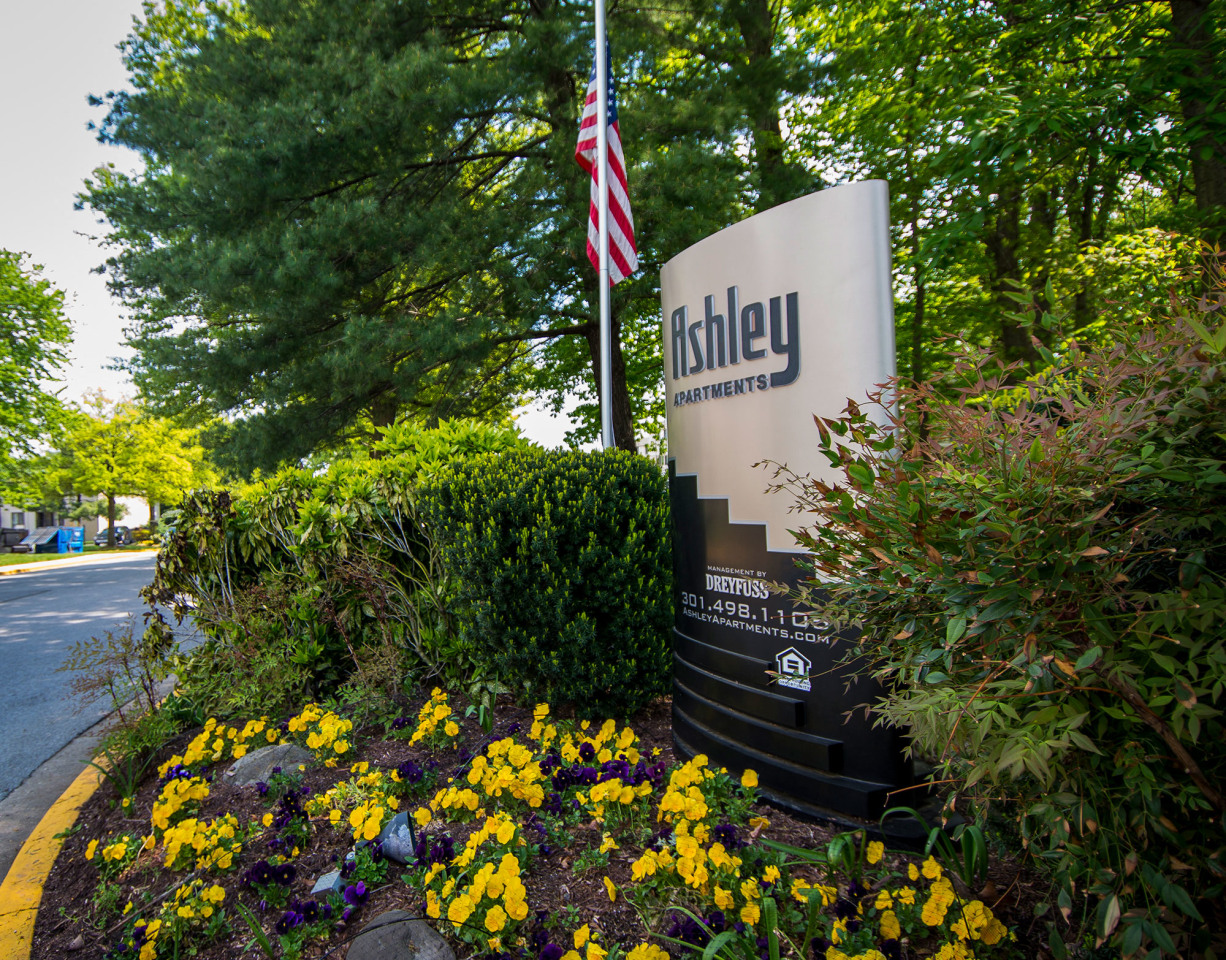 Ashley Apartments Image 18