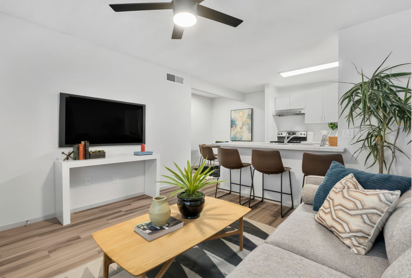 The Halifax Apartments Image 5