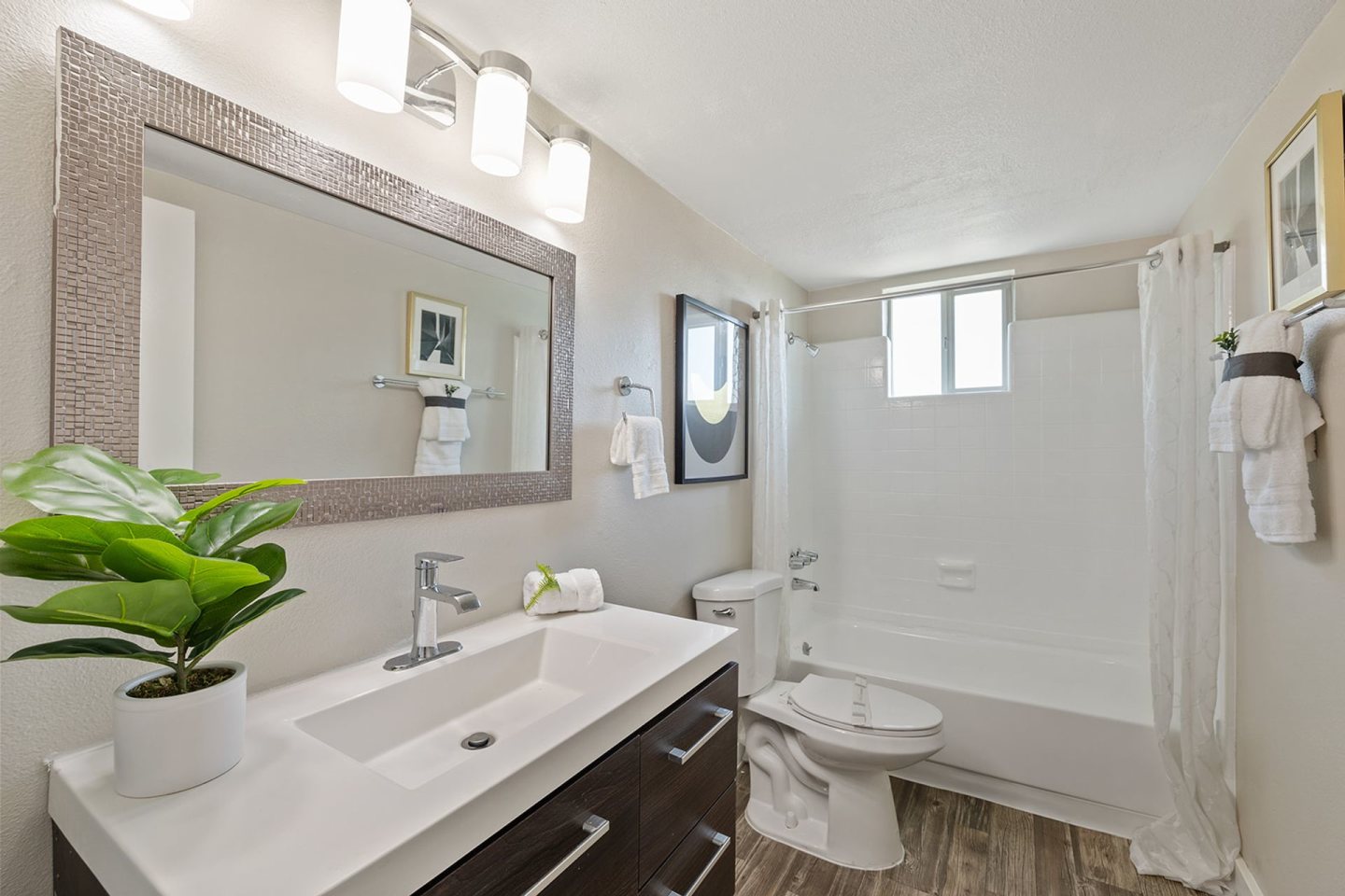 Camelback Village Apartments Image 4