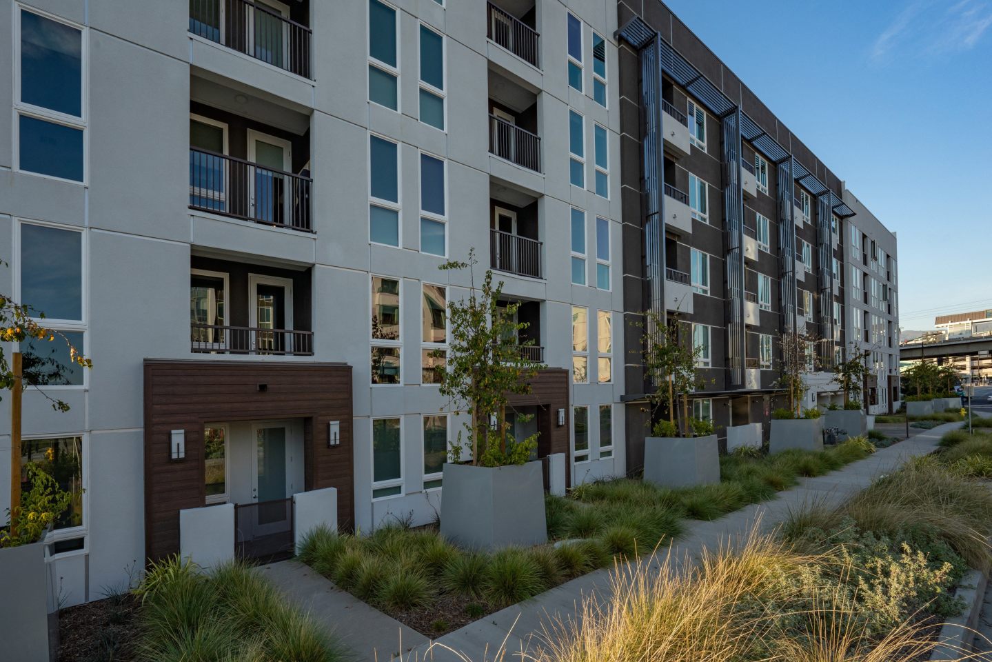 The Harlowe Image 10
