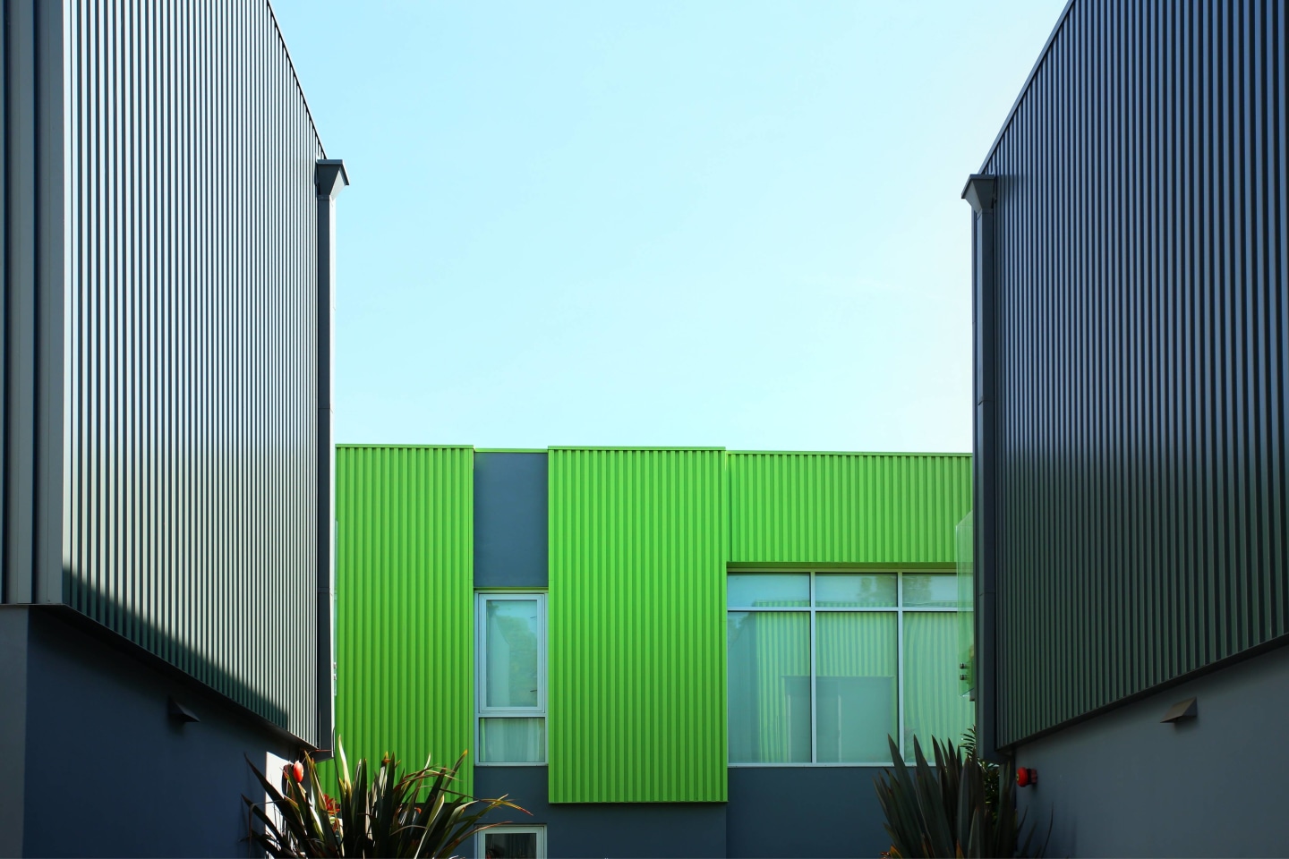 The Geffen Image 3