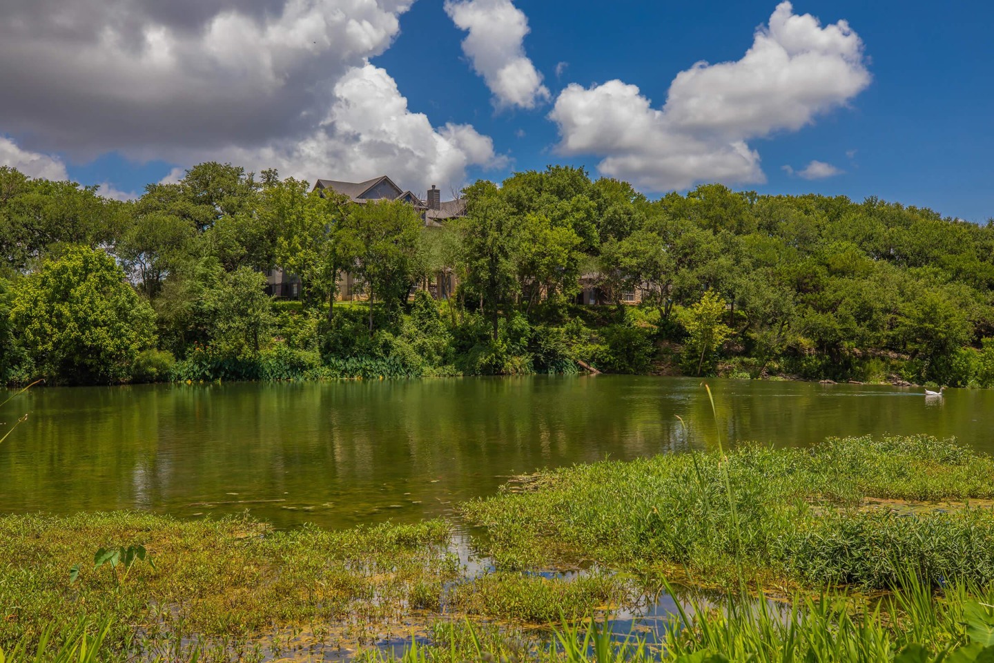 The Falls Round Rock Image 50