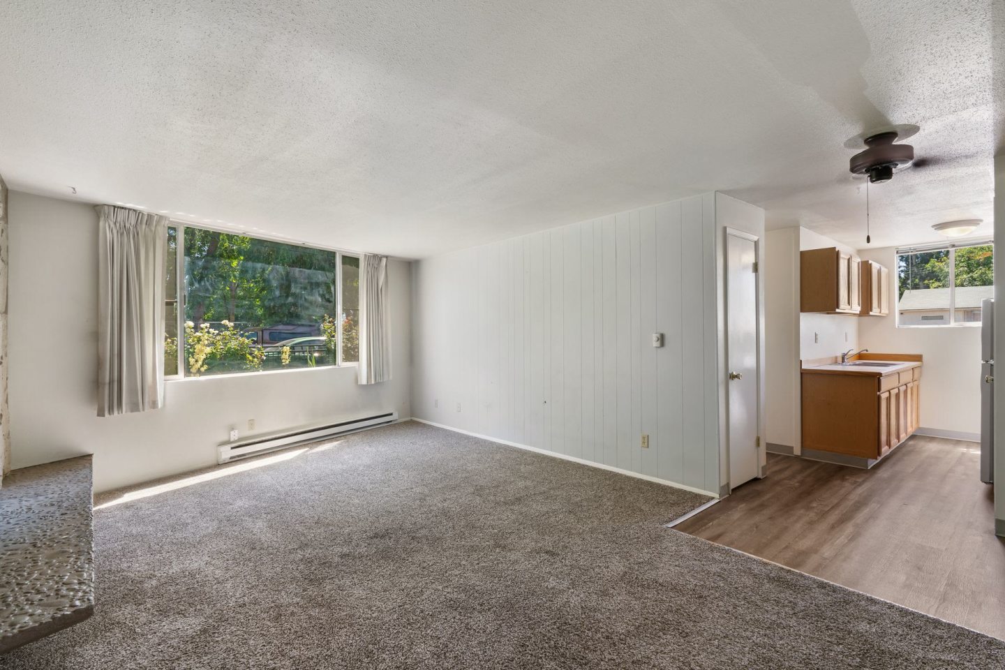Dolphin Apartments Image 3