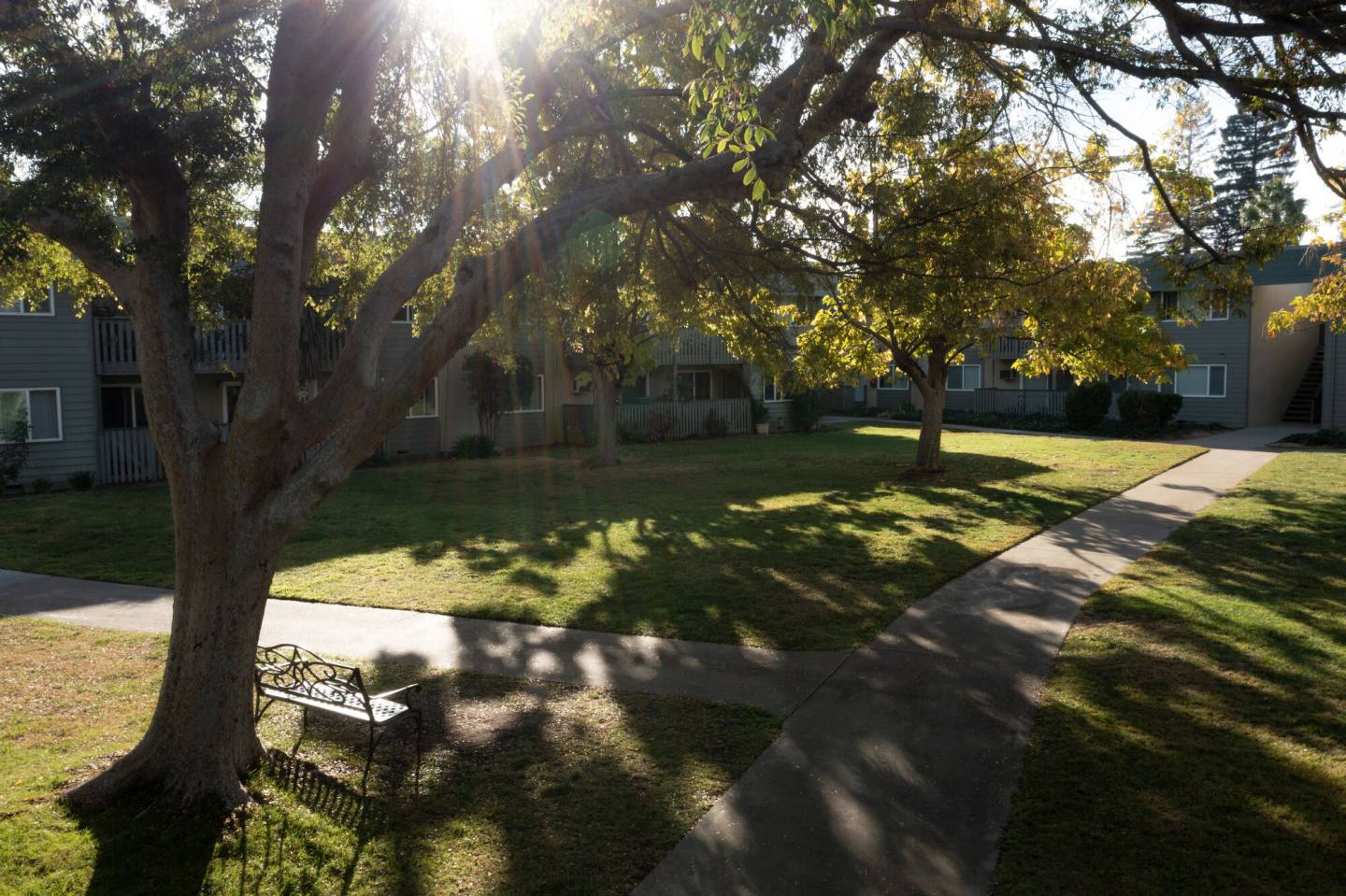 McClellan Terrace, A Prometheus Neighborhood Image 1