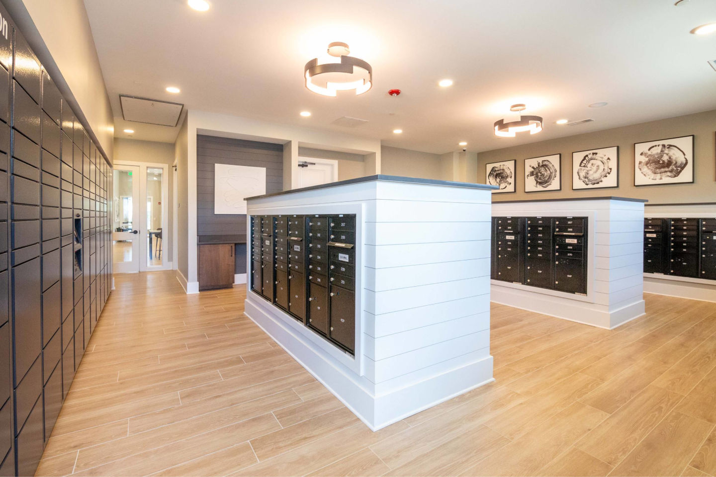 Allora Gainesville Image 35