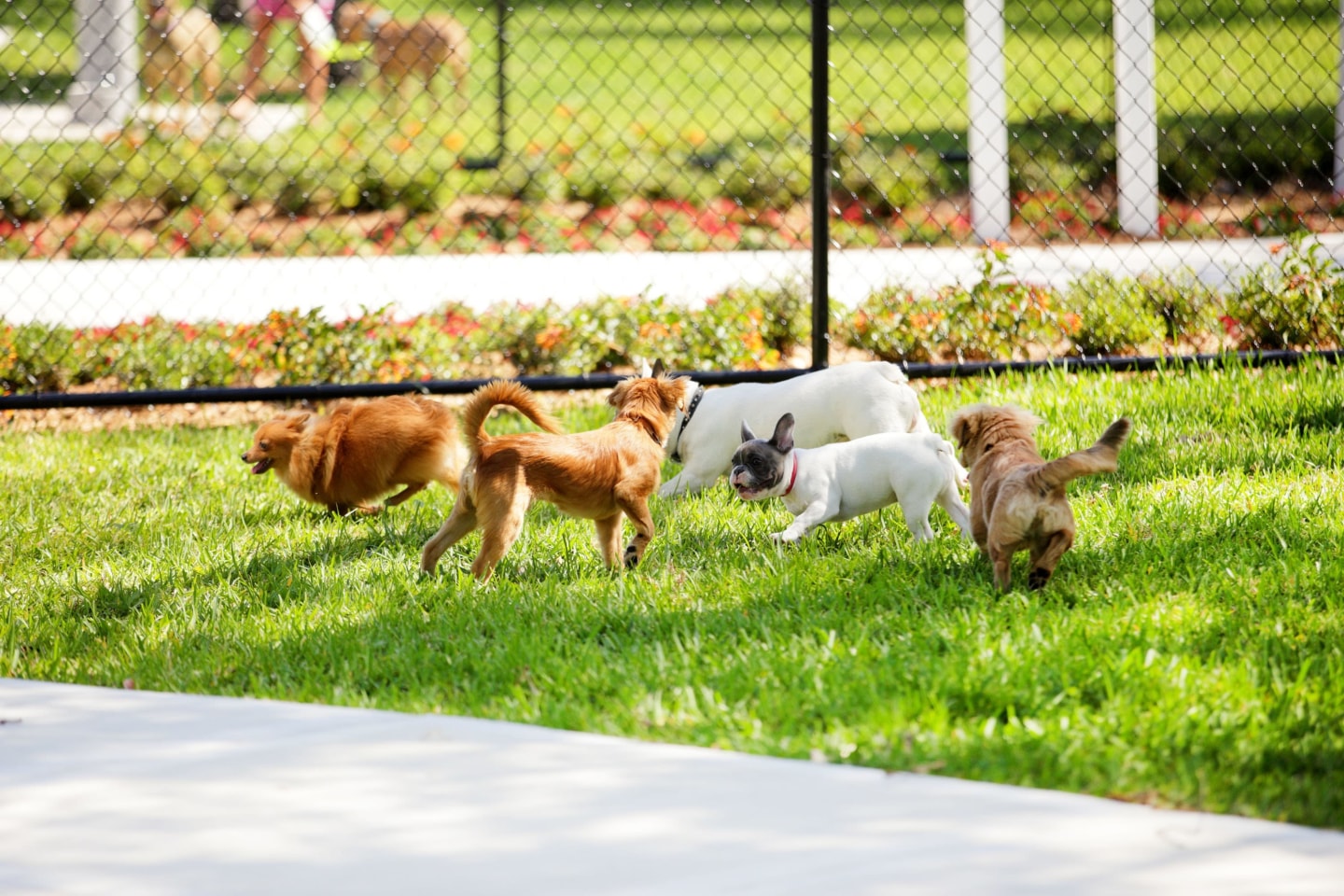 Greenbriar Image 32