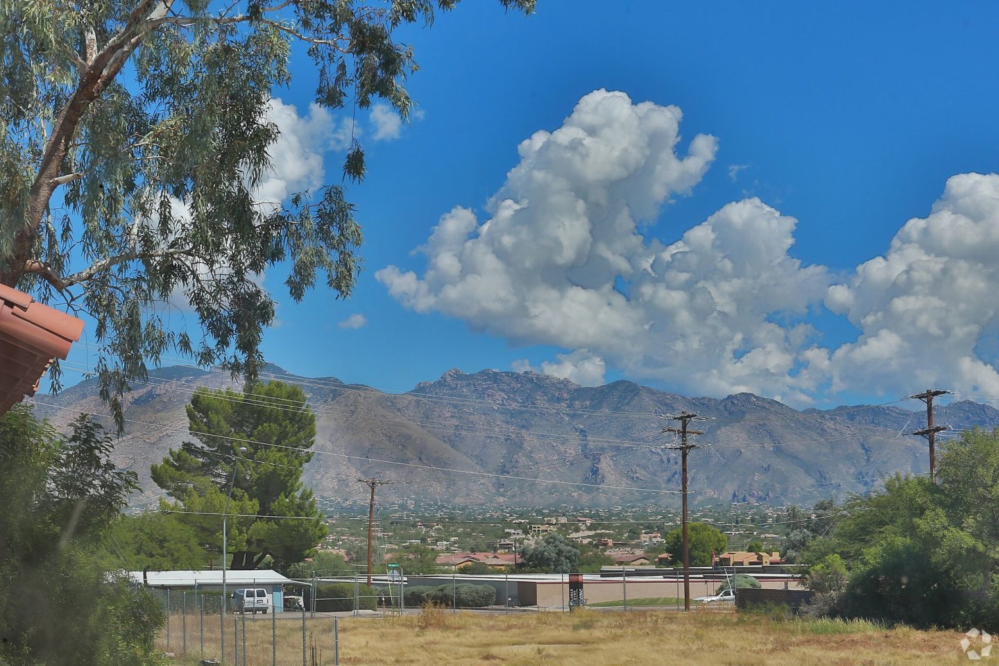Shadow Ridge Image 6
