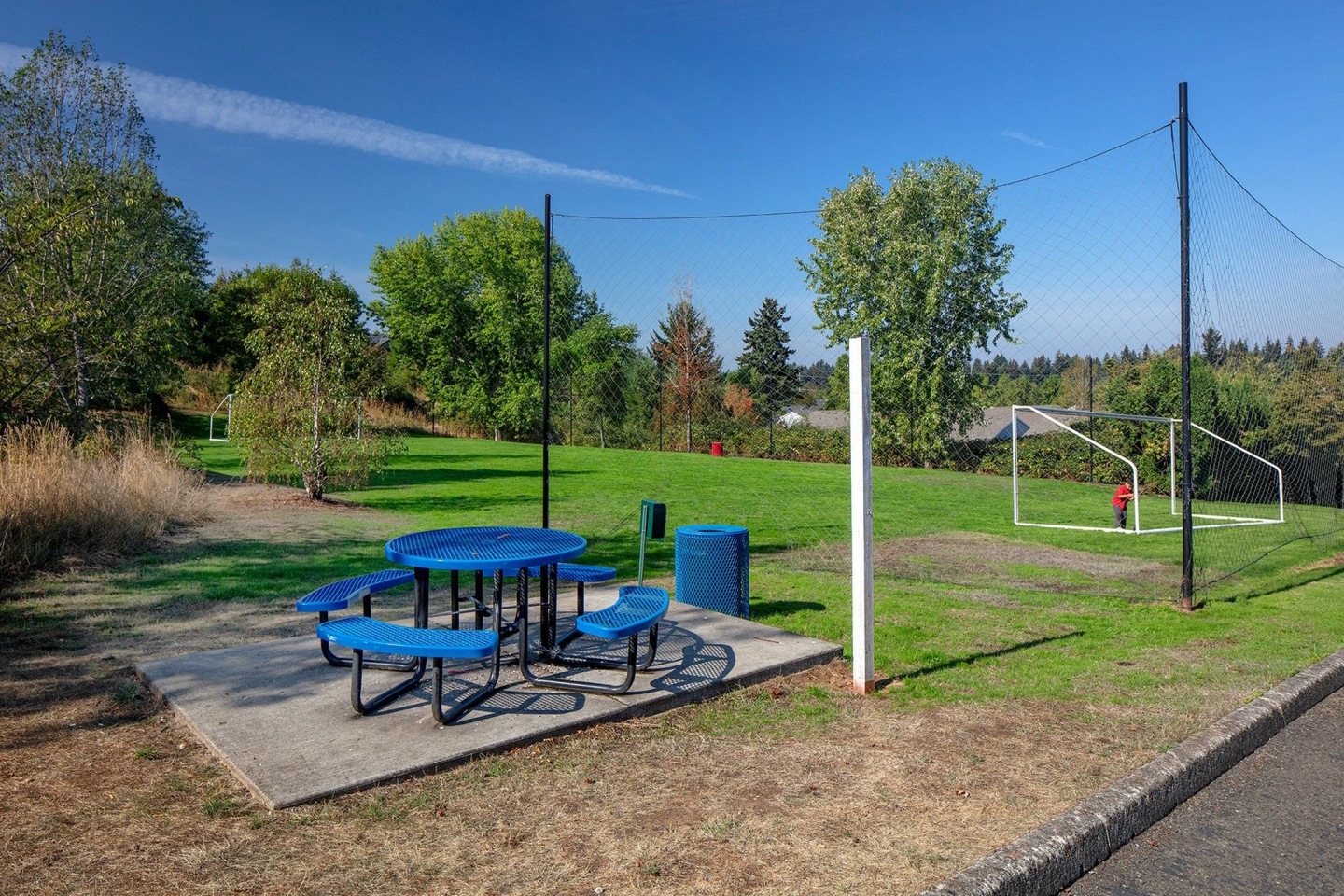 Avana Evergreen Image 8