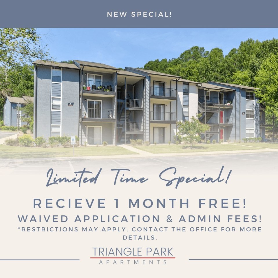 Triangle Park Apartments Image 5