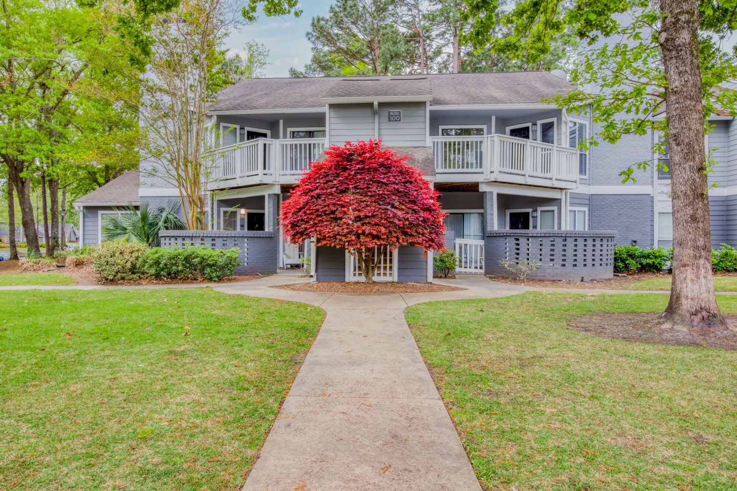 Ellevate North Charleston Image 26