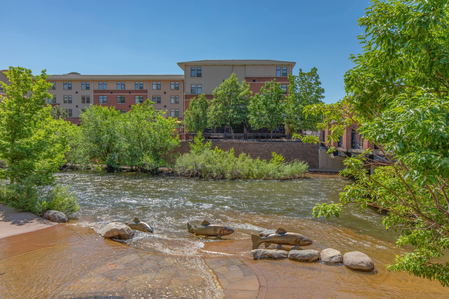 Senior Housing - Clear Creek Commons Apartments Image 20