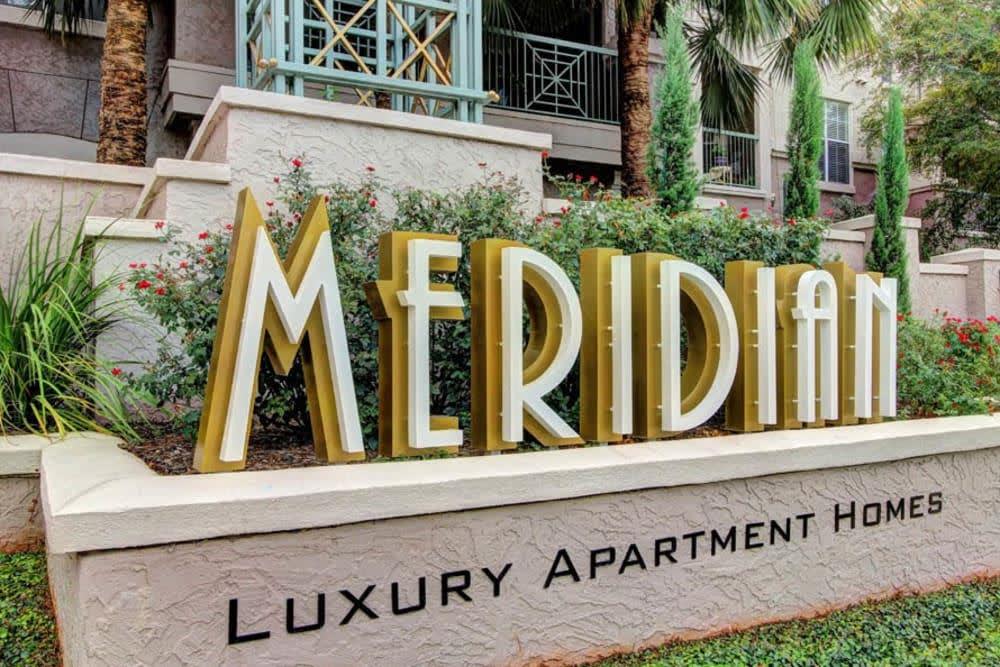 Meridian Image 18