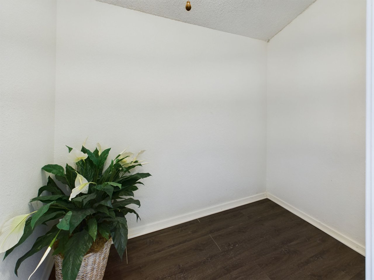 Raintree Apartments Image 8