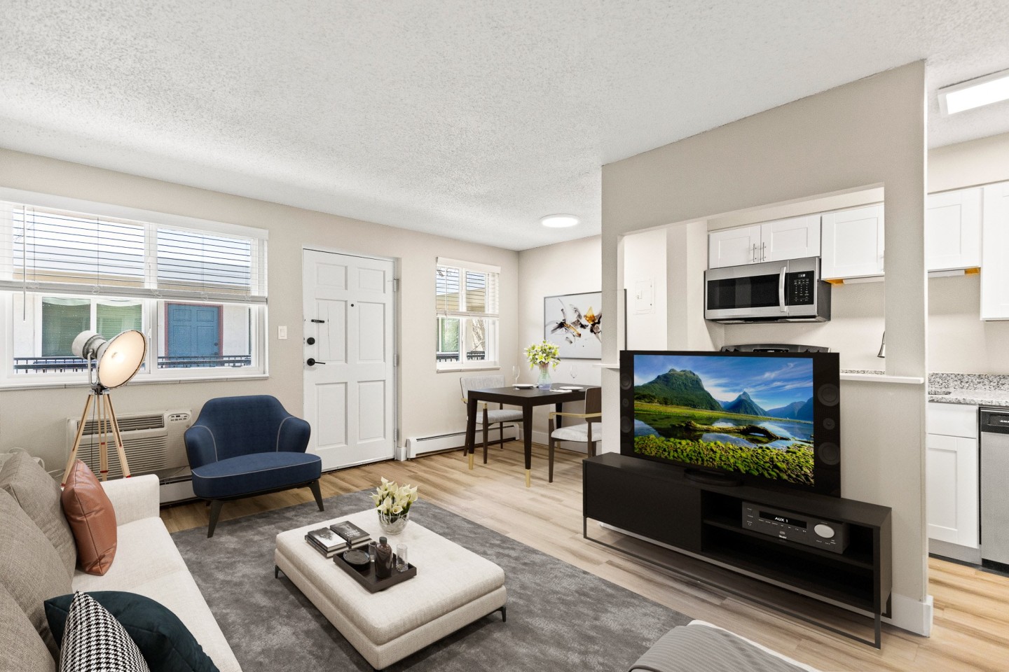 270 Lincoln Image 1