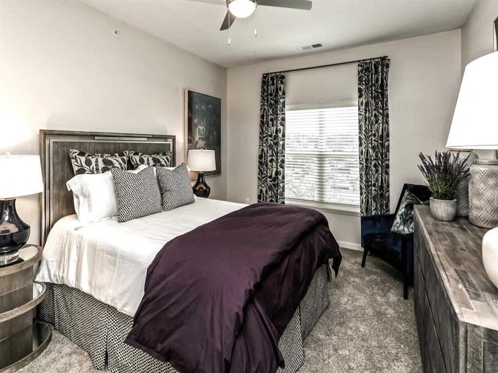 The Duke Image 22