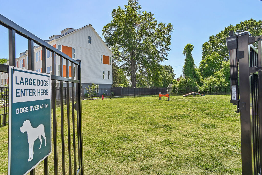 Crossings at NoDa Townhomes Image 15