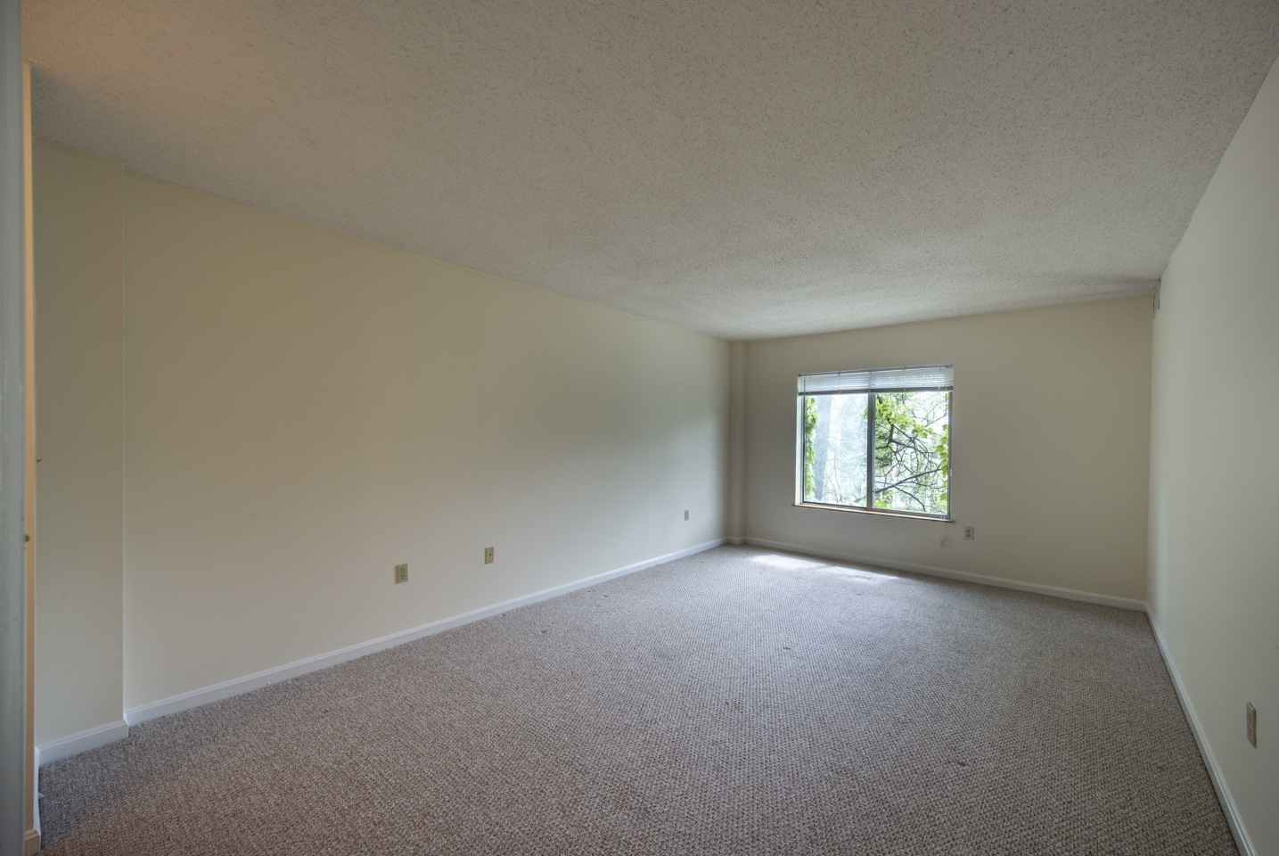 The Davenport Image 17