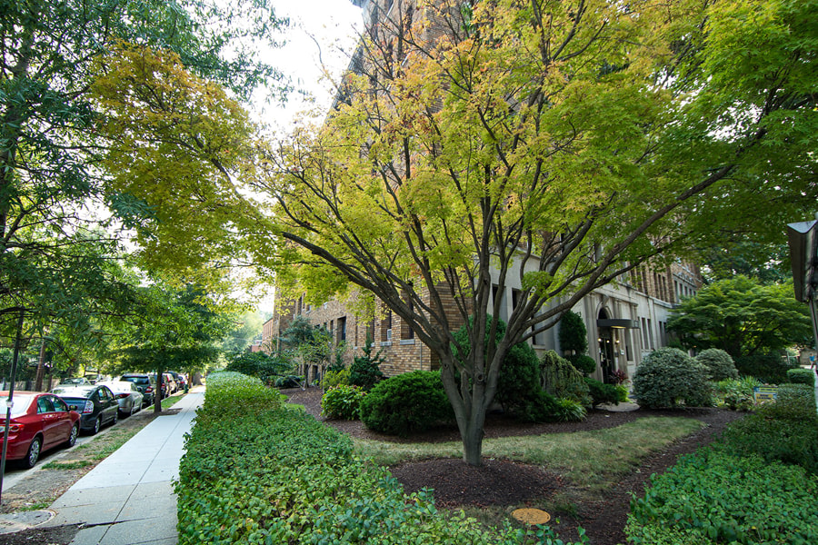 Connecticut Avenue Apartments Image 6