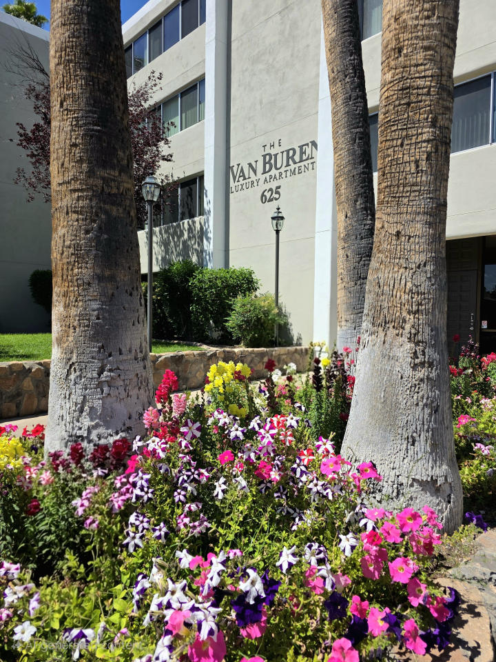 Van Buren Image 1