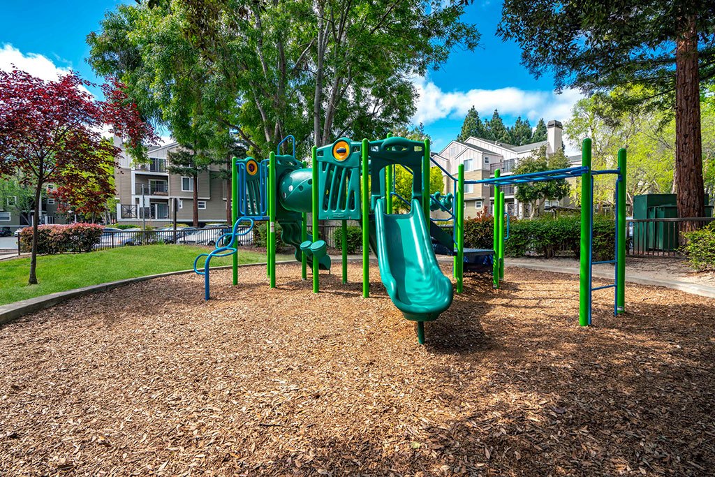 Sofi Sunnyvale Image 21