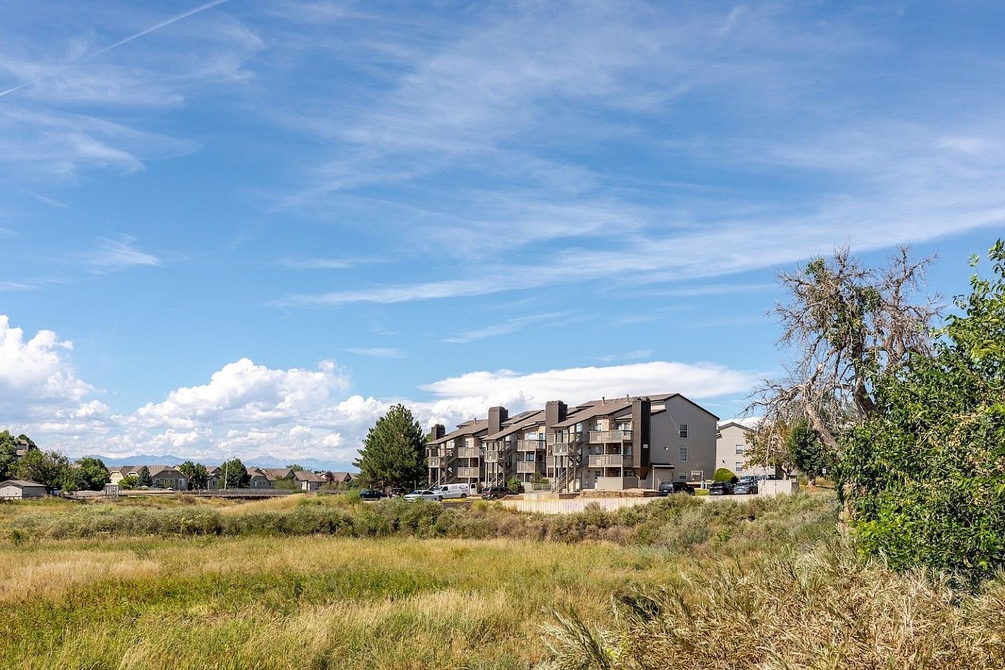 Silverbrook Image 27