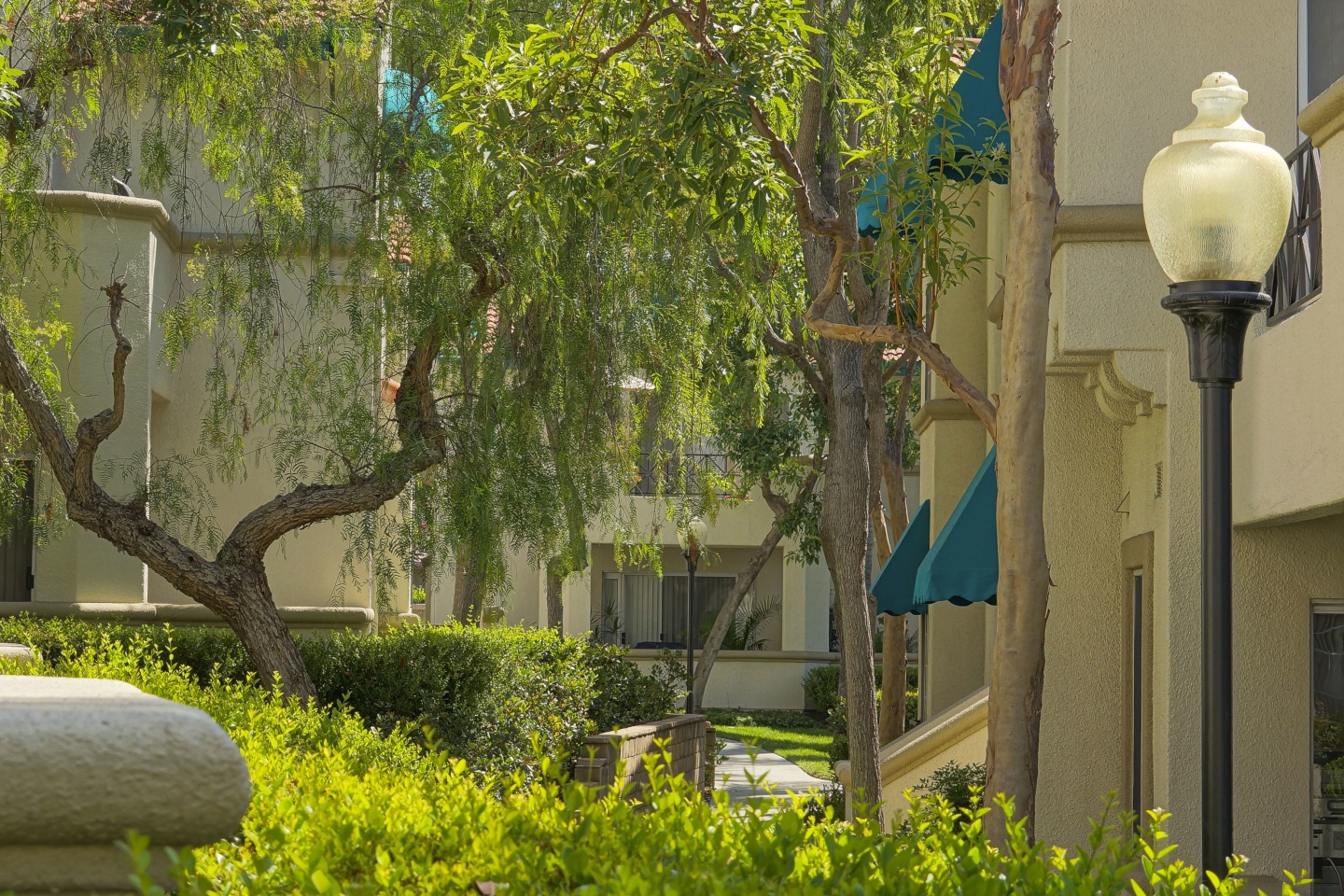 Montecito Image 21