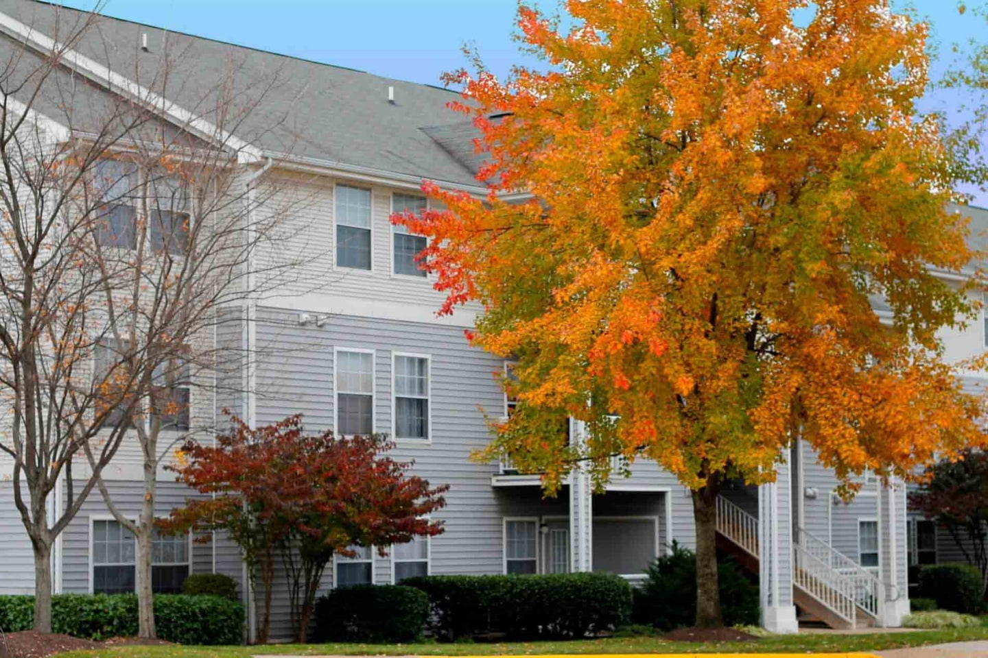 Affordable Housing - Dulles Center Image 12